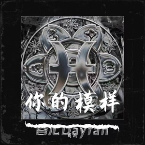你的模样