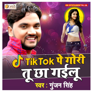 Tik Tok Pe Gori Tu Chha Gailu - Single