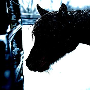 japanese plug (Explicit)