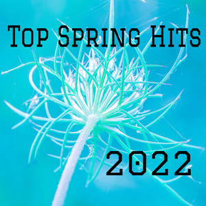 Top Spring Hits 2022