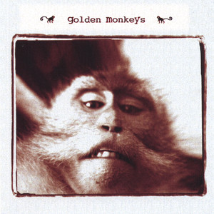 Golden Monkeys