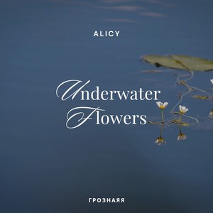 Underwater Flowers