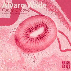 Funky Groove (Gamero Brown Remix)