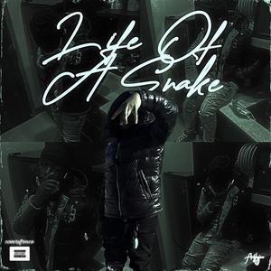 Life Of A Snake (Explicit)