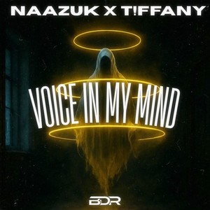 Voice In My Mind