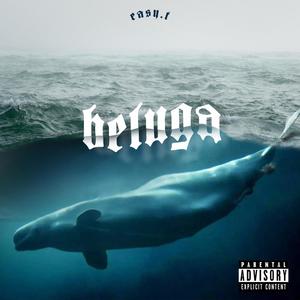 BELUGA (Explicit)