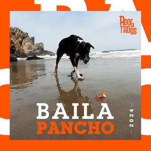 Baila Pancho