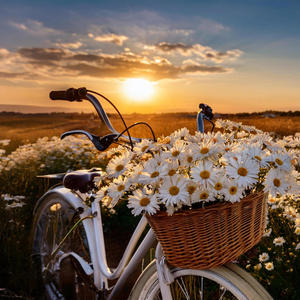 I Just Be With YouⅥ (Morning Light)