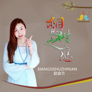 赵金兰 - 相思树之恋 (伴奏)