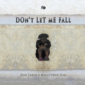 Don't Let Me Fall