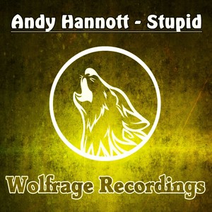 Stupid (Original Mix)