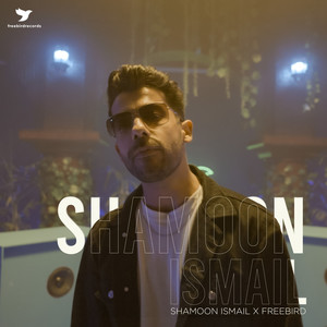 Shamoon Ismail X Freebird Music