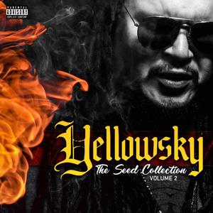 The Seed Collection Volume 2 (Explicit)