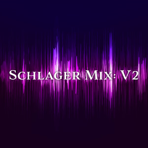 Schlager Mix, Vol. 2