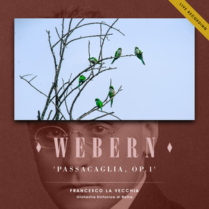 Webern: Passacaglia in D Minor, Op. 1 (Live Recording)