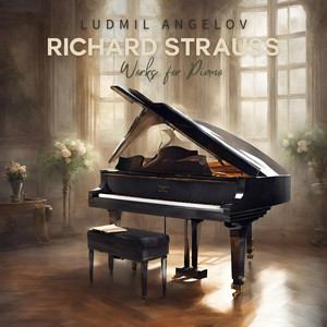 Piano Sonata in B Minor, Op. 5 - I. Allegro molto appassionato