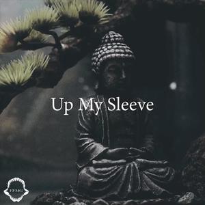 Up My Sleeve (Explicit)