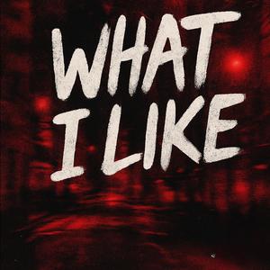what i like (Explicit)