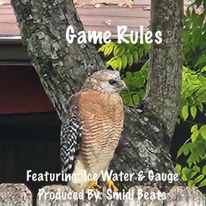 Game Rules (feat. Ice Water & Gauge) (Explicit)
