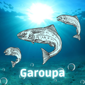 Garoupa (Explicit)