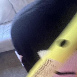 Flip The Car (Explicit)