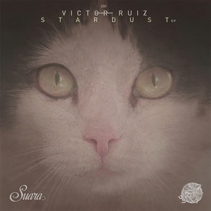 Voyage (Original Mix)