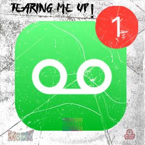 Tearing Me Up (Explicit)