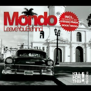 Leave You Behind (Wood / Moog Rmx)