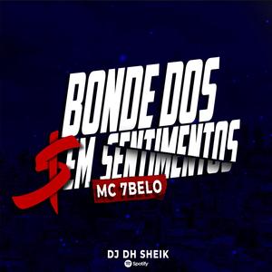 BONDE DOS SEM SENTIMENTOS(DJ D H SHEIK) (Explicit)