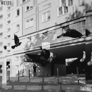 Weiße Taube (Explicit)