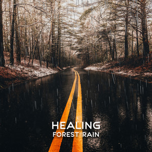 Healing Forest Rain: Calming and Relaxing Sounds of Rain