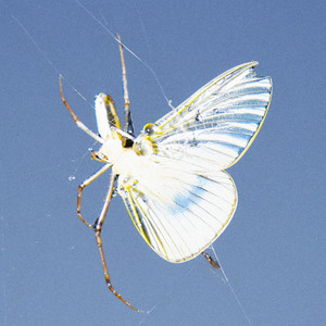 못 이기는 척 (Feat. TRADE L) (Falling)