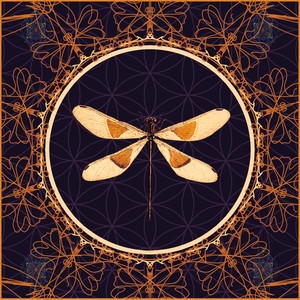 When Nature Calls(feat. 6091)