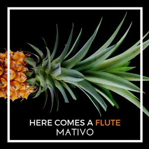 Here Comes A Flute (Radio Edit)