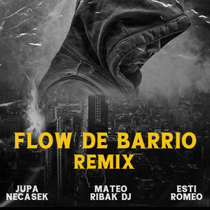 Flow de Barrio (Remix)