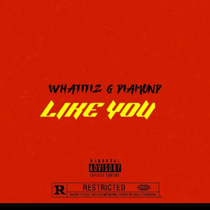 LIKE YOU (feat. G DIAMOMD) [Explicit]