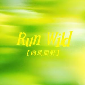 Run Wild（向风而野）-金色火种GoldenFire