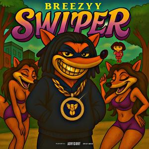 Swiper (Explicit)