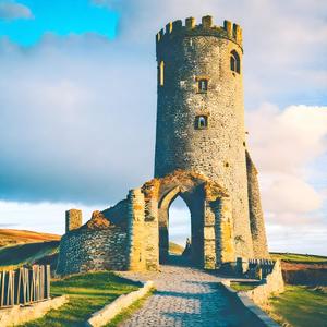 Cynefin Ystwyth nine