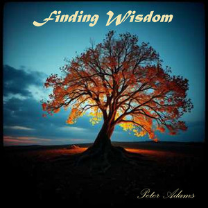 Finding Wisdom