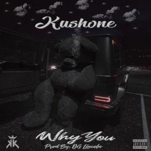 Why You(feat. OG Lincoln) (Explicit)