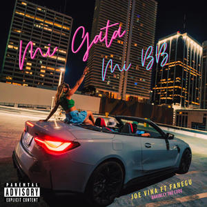Mi Gata, Mi Bb (feat. Fanegu & Davinccy)