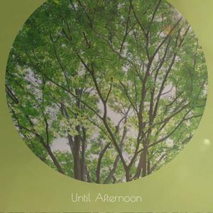 Until Afternoon