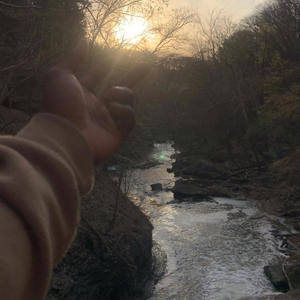 My Dreams (Freestyle)