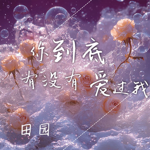 田园 - 你到底有没有爱过我