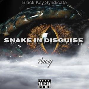 Snake In Disguise (Explicit)