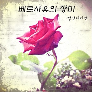 베르사유의 장미 (Inst.)