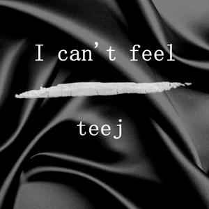 i can't feel (Explicit)