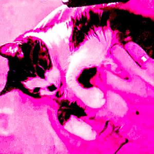 sweet home (Explicit)