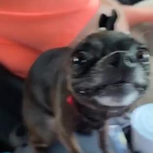 Tipsey (Explicit)